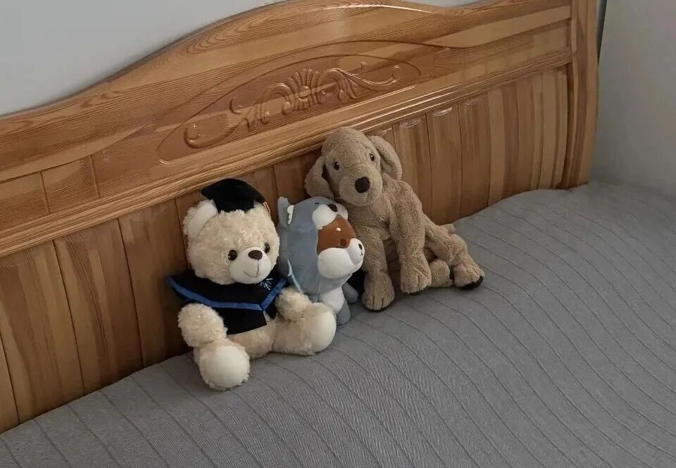 網上投注：“最讓人破防的歸鄕路”，搶不到票的年輕人在紅眼高鉄熬鷹